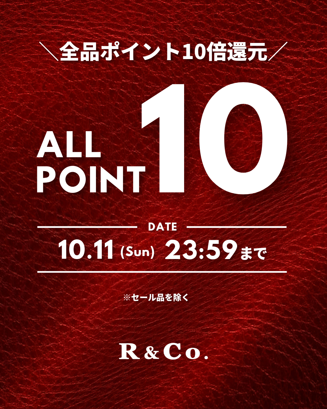 ポイント10倍キャンペーン開催中