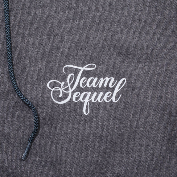 [SEQUEL]T/C裏毛 ZIP HOODIE/GRAY(SQ-24SS-HD-03)