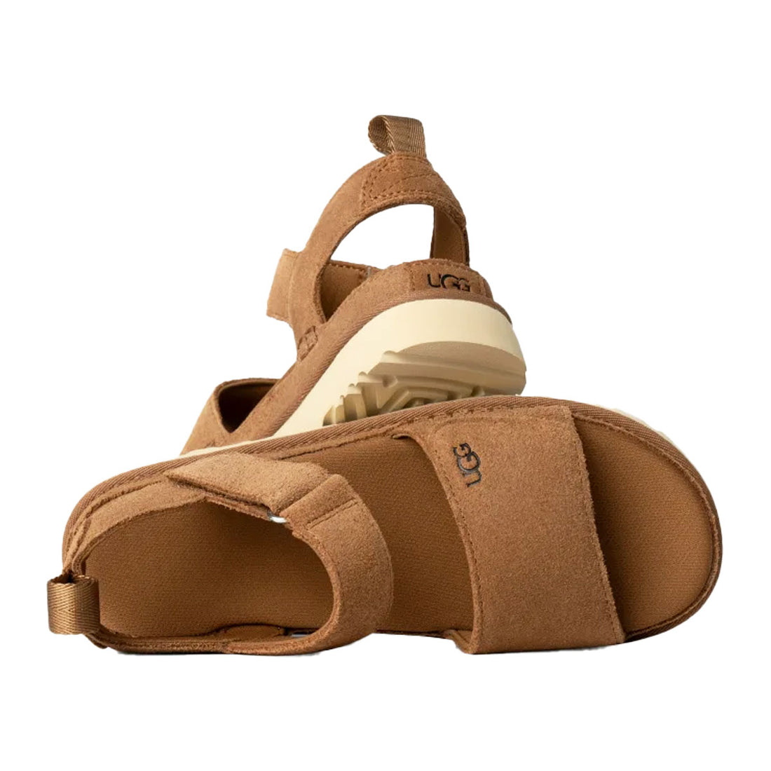 [UGG]W GOLDENSTAR/CHESNUT(1136783)