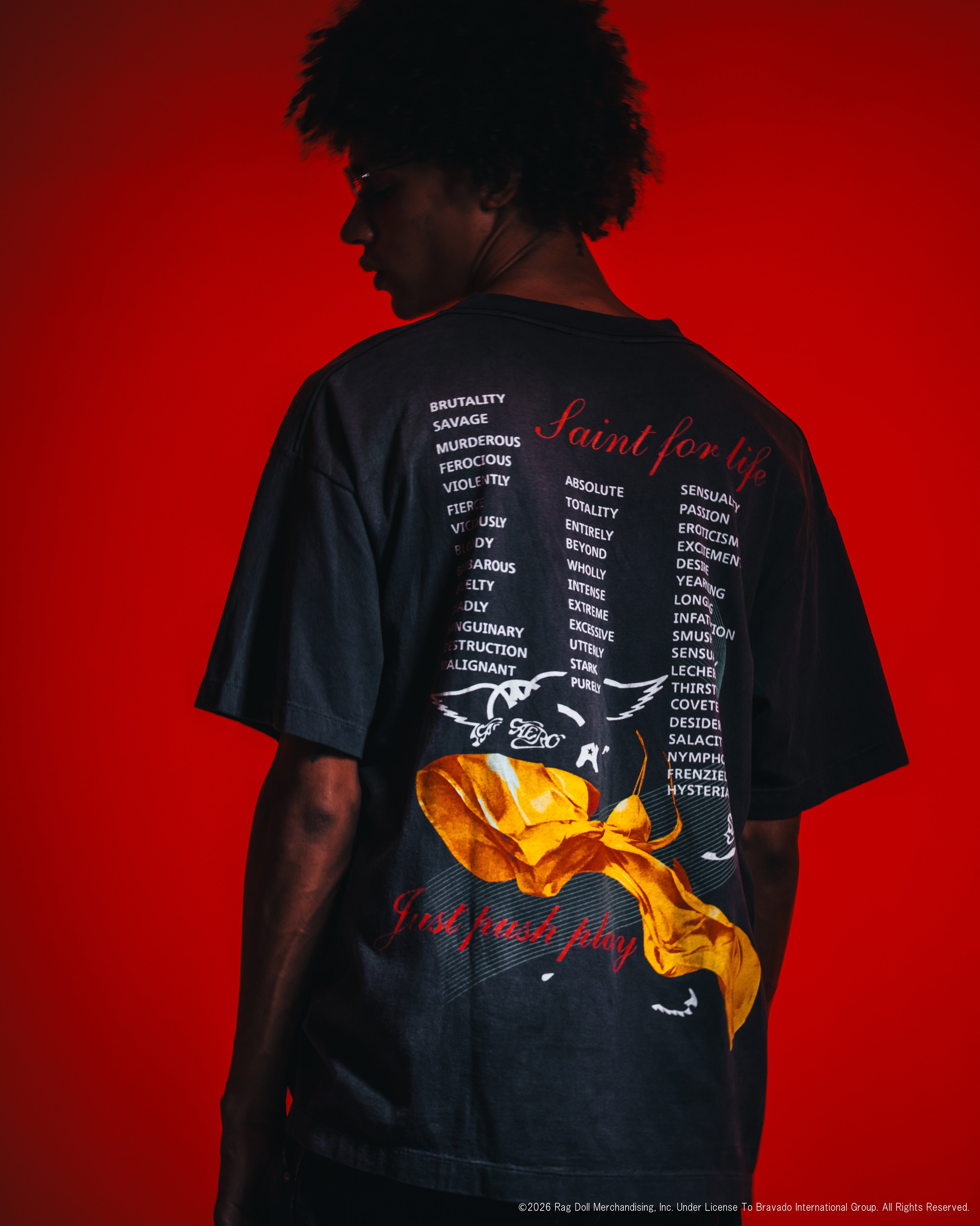 SAINT Mxxxxxx]AS_SS T-SHIRT/AEROSMITH/BLACK(SM-MK8-0000-C25) – R&Co.