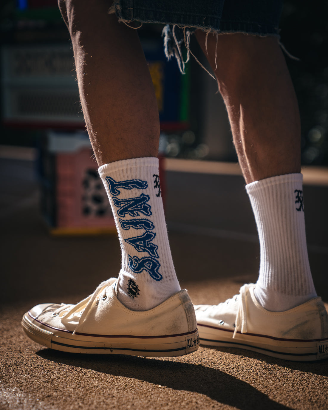 [SAINT Mxxxxxx]SOCKS/SAINT/WHITE/BLUE(SM-MK8-0000-107)