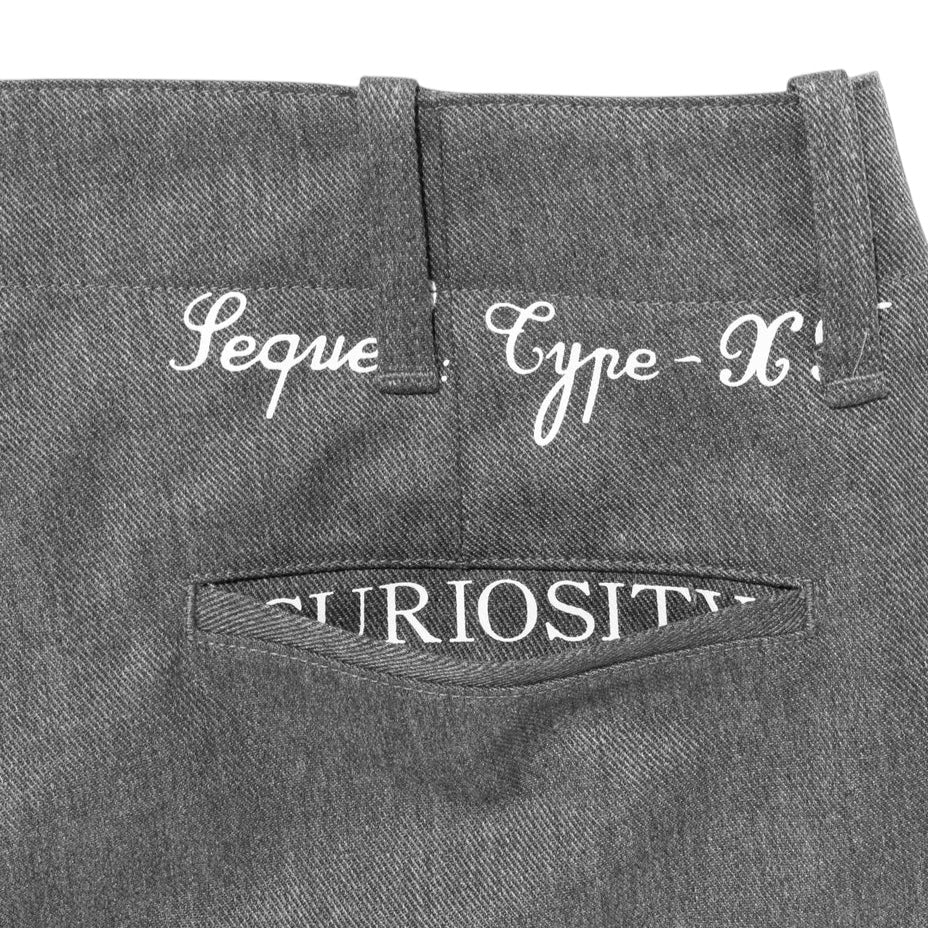 [SEQUEL]CHINO PANTS(TYPE-XF)/GRAY(SQ-25AW-PT-10)