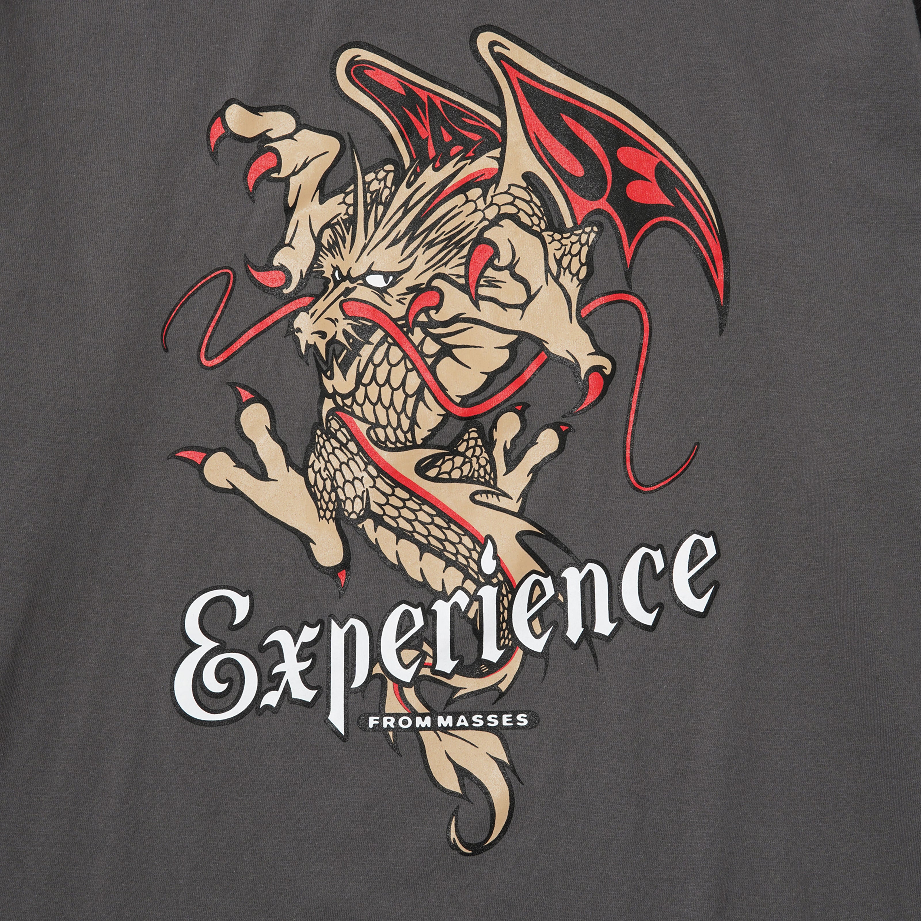 MASSES]T-SHIRT L/S DRAGON/CHARCOAL – R&Co.
