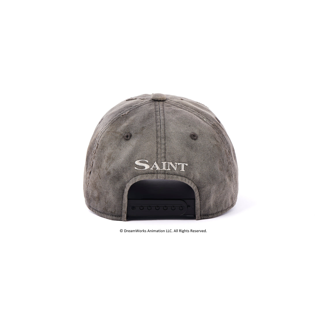 [SAINT Mxxxxxx]DW_CAP/SAINT(SM-MK1-0000-C79)