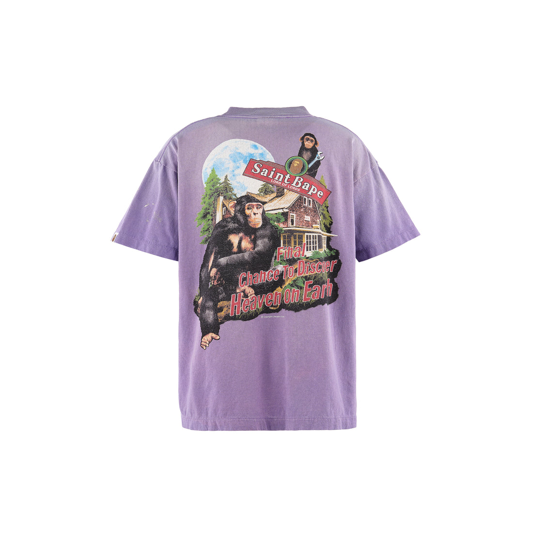 [SAINT Mxxxxxx]BAPE_SS T-SHIRT/HOUSE(SM-MK1-0000-C36)