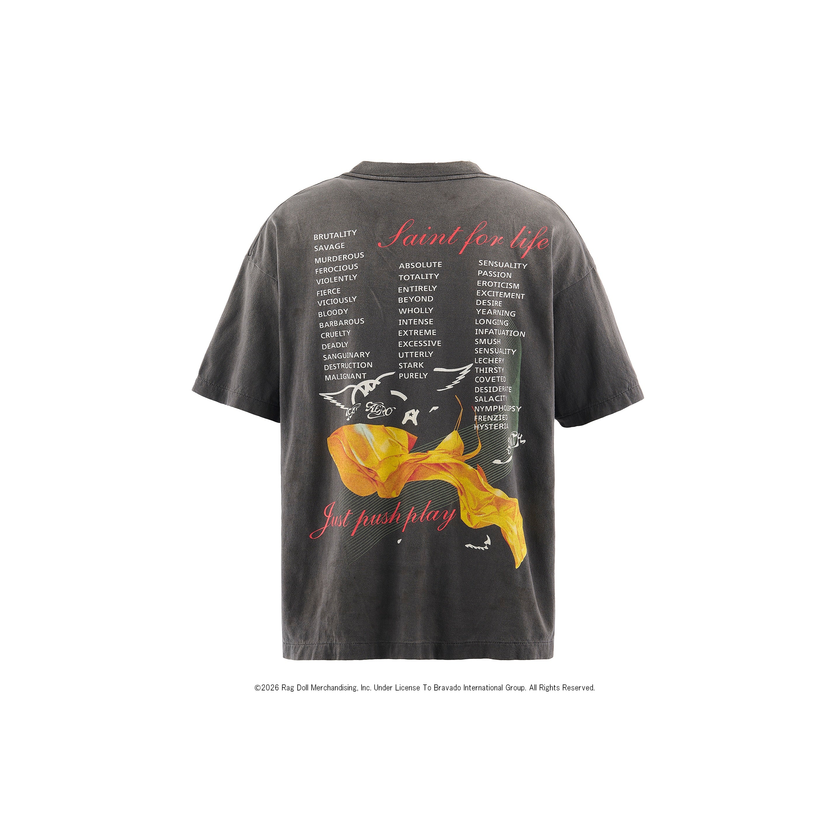 SAINT Mxxxxxx]AS_SS T-SHIRT/AEROSMITH/BLACK(SM-MK8-0000-C25) – R&Co.
