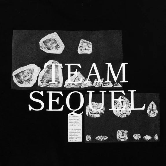 [SEQUEL]LONG SLEEVE T-SHIRT/BLACK(SQ-25SS-LT-02)