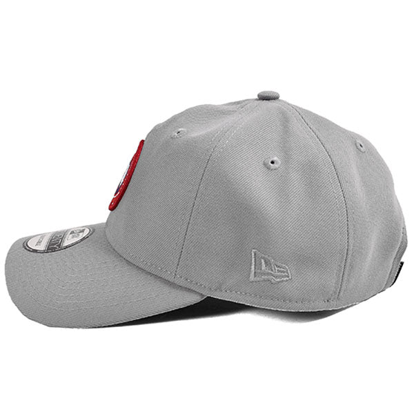 ARCTIC DISC ADJUSTABLE CAP/SILVER(5450M)