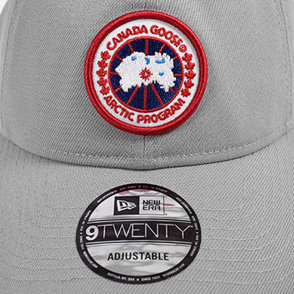 ARCTIC DISC ADJUSTABLE CAP/SILVER(5450M)